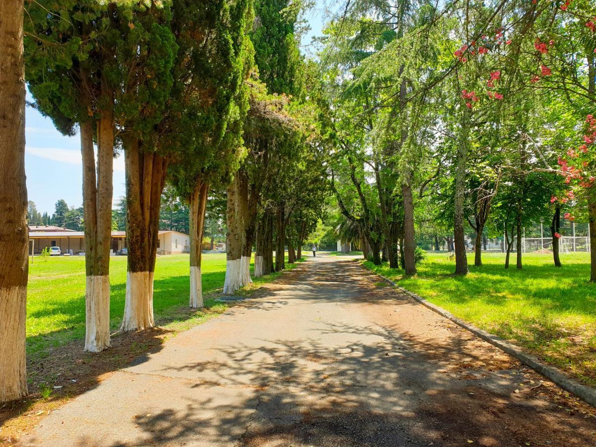 Парк-Отель Олимп Pizunda Exterior photo